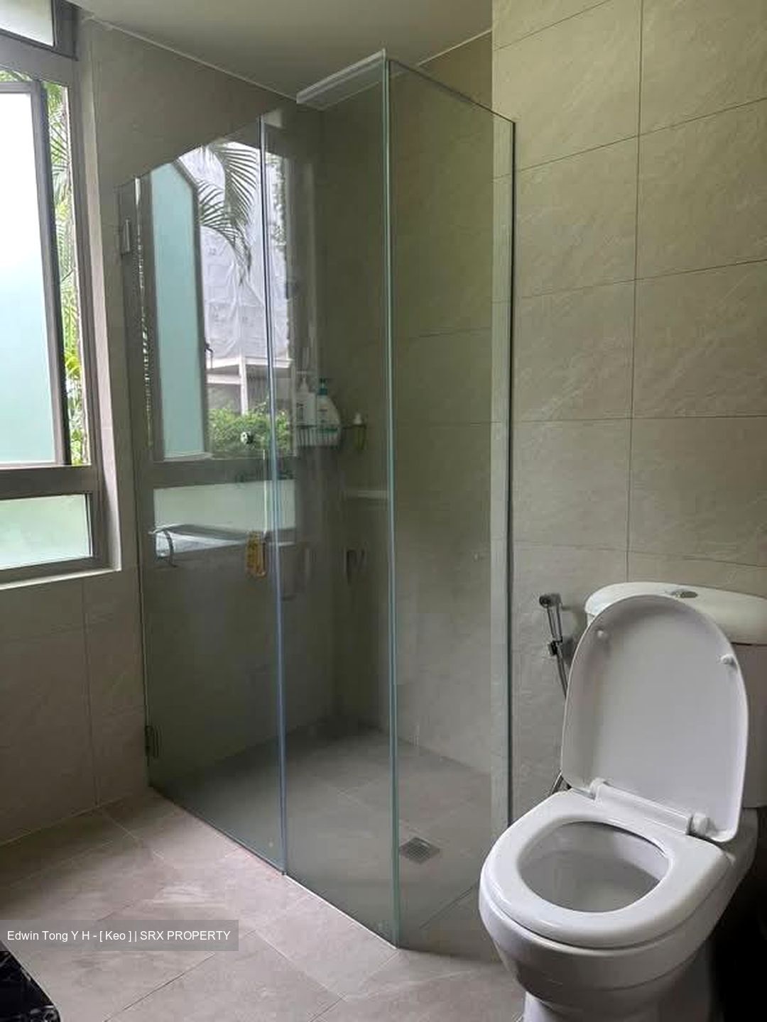 The Blossomvale (D21), Condominium #569683751